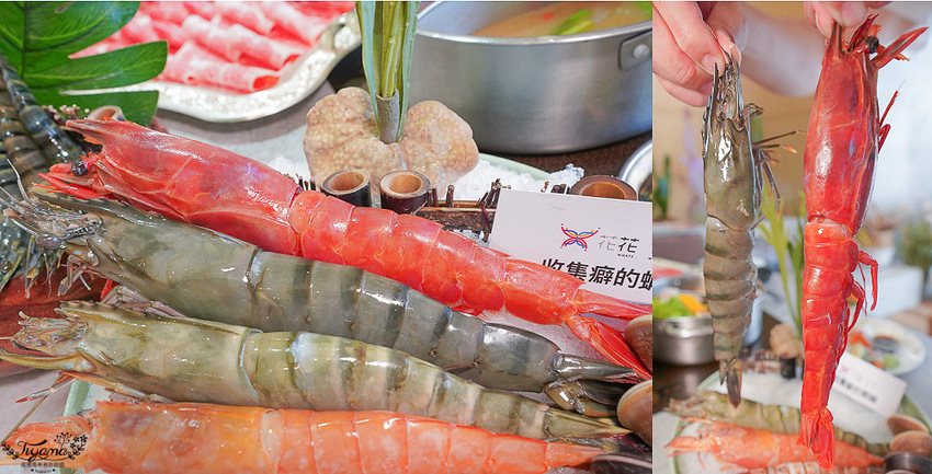 台南必吃火鍋》花花世界鍋物 怎麼吃最超值!! 大滿足單人套餐,不能錯過攻略 @緹雅瑪 美食旅遊趣