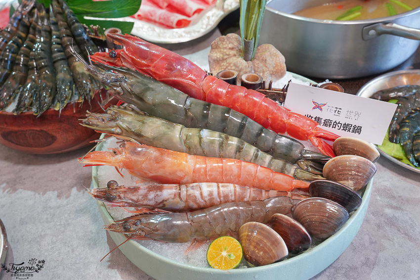 台南必吃火鍋》花花世界鍋物 怎麼吃最超值!! 大滿足單人套餐,不能錯過攻略 @緹雅瑪 美食旅遊趣