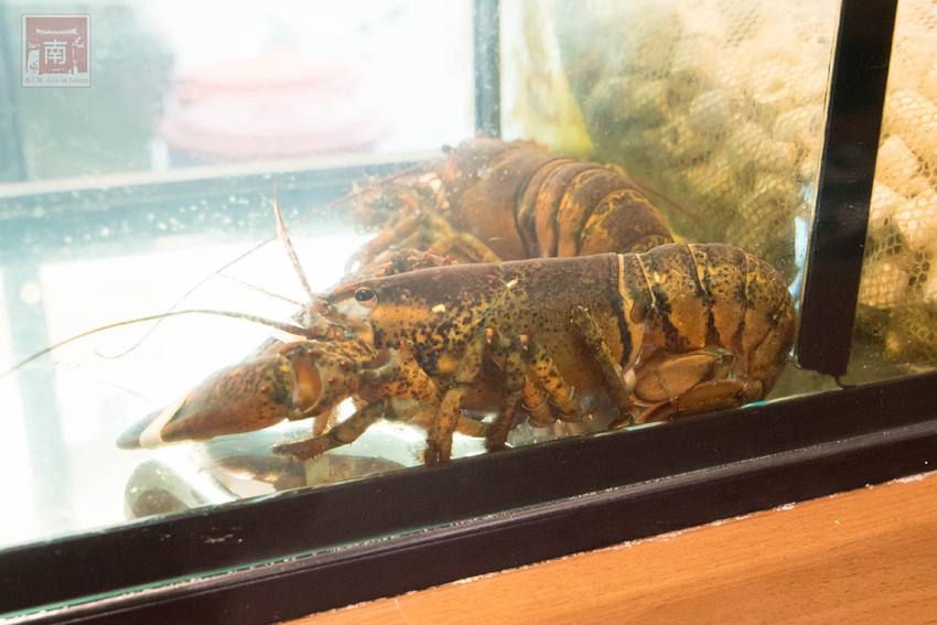 【臺南美食】和牛鍋物也太奢侈了｜點套餐加碼送16隻草蝦｜瓶裝飲料喝到飽｜浮誇海鮮盤｜25盎司大份量和牛和PRIME牛肉原肉現切｜公司聚餐｜情人約會~~花花世界鍋物 - 南人幫