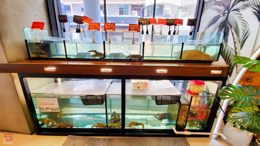 【台南美食】網美南洋風浮誇鍋物｜活體龍蝦鮑魚夠新鮮｜浮誇海鮮盤｜肉肉多多盤｜南紡購物中心附近美食｜活龍蝦｜和牛｜中秋連假~花花世界鍋物 - 南人幫