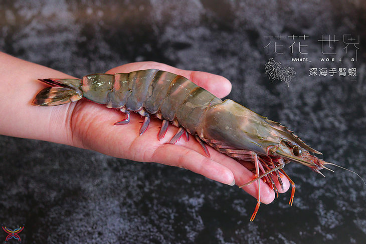 台南火鍋推薦│超狂霸氣龍蝦海鮮盤！想吃好料就來【花花世界鍋物】尾牙、春酒、聚餐推薦重量級十人套餐│火鍋界中的唯一奇葩（附完整菜單）