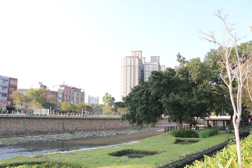 2020桃園燈會。光之桃花源 光之巨龍秀 法國機械巨龍馬戲團表演 噴火通通有