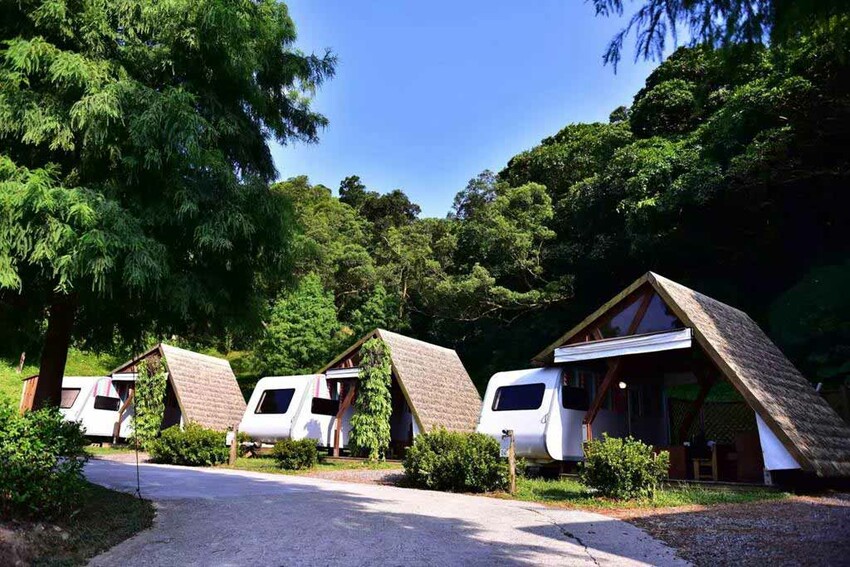 金山皇后鎮森林