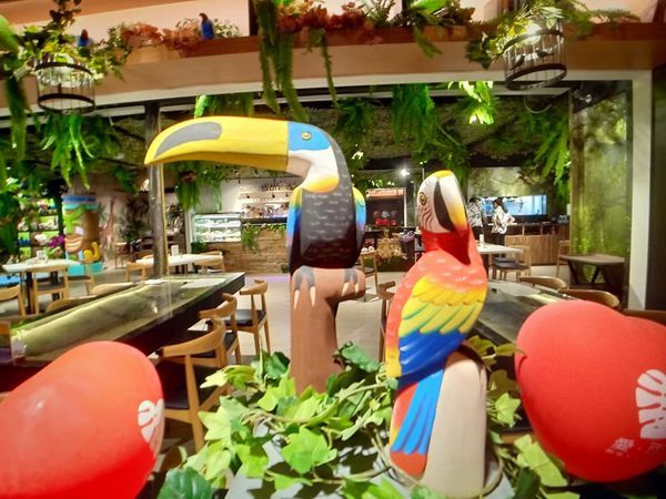 78365562_533763284141767_1100342098357387264_n 78365562_533763284141767_1100342098357387264_n