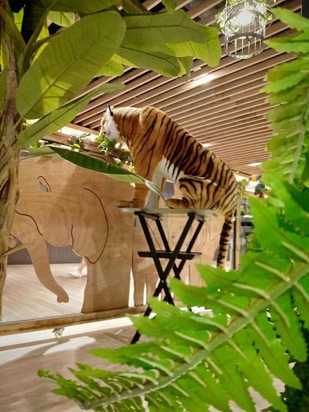 78231657_714371895736673_5739717921265942528_n 78231657_714371895736673_5739717921265942528_n