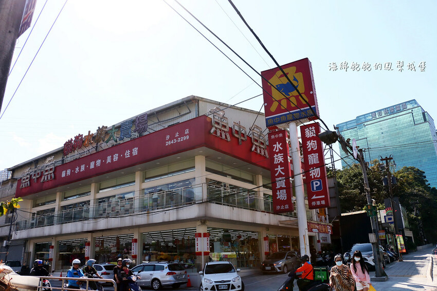 平地賞櫻再一發「康誥坑溪 櫻花大道」搭火車到汐科站，擁抱一片溪畔粉嫩櫻花林！