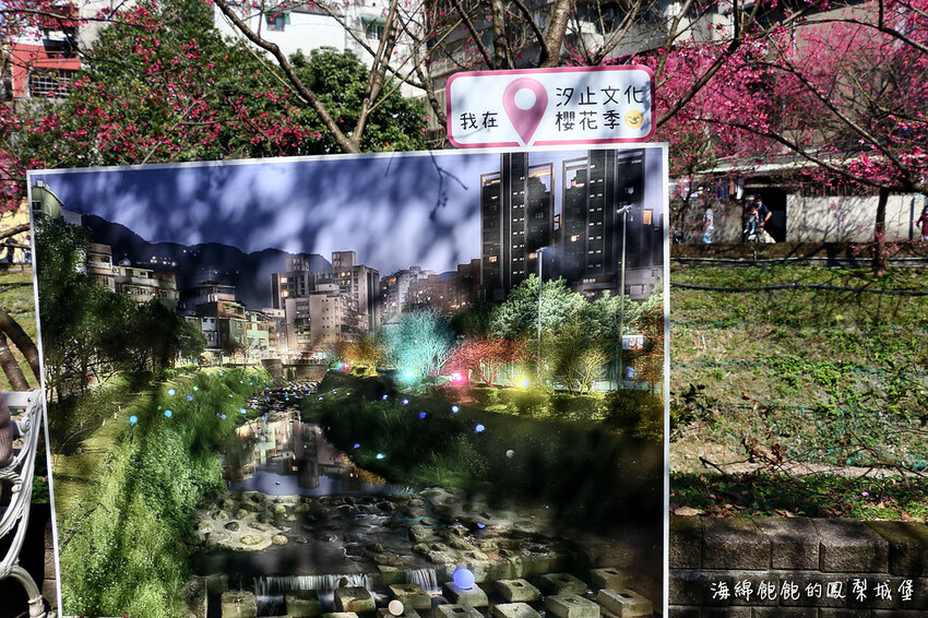 平地賞櫻再一發「康誥坑溪 櫻花大道」搭火車到汐科站，擁抱一片溪畔粉嫩櫻花林！