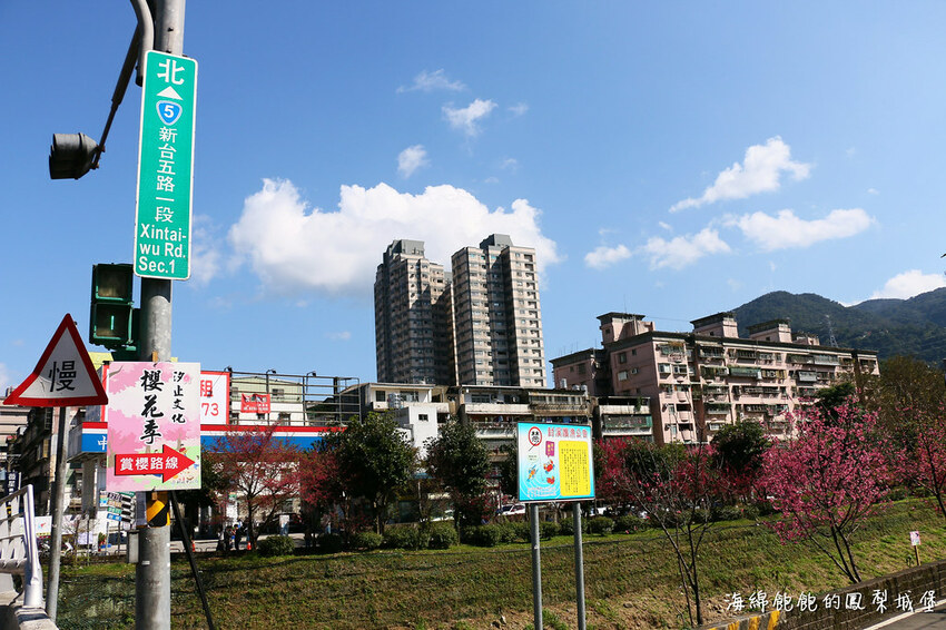 平地賞櫻再一發「康誥坑溪 櫻花大道」搭火車到汐科站，擁抱一片溪畔粉嫩櫻花林！
