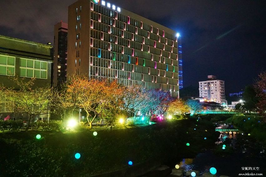 [汐止賞櫻]康誥坑溪河畔櫻花大滿開 像精靈般落入凡間夜景 彩色夜櫻超美 - 安妮的天空