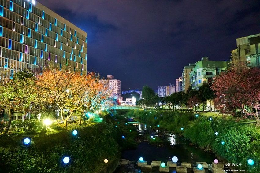 [汐止賞櫻]康誥坑溪河畔櫻花大滿開 像精靈般落入凡間夜景 彩色夜櫻超美 - 安妮的天空