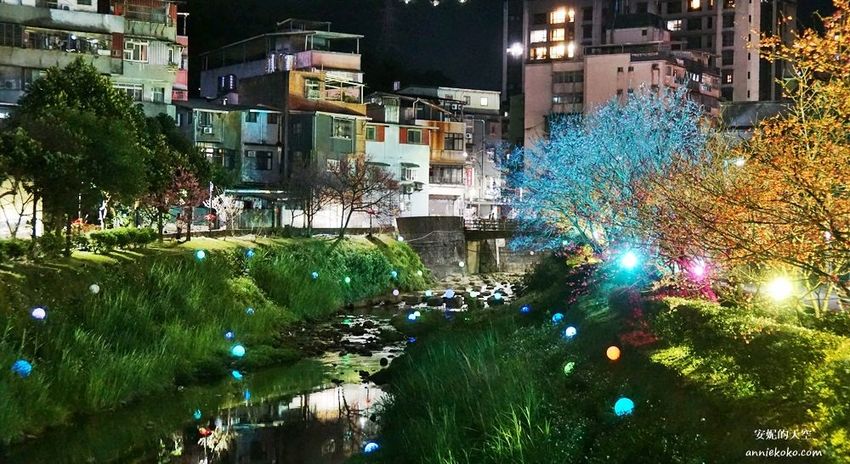 [汐止賞櫻]康誥坑溪河畔櫻花大滿開 像精靈般落入凡間夜景 彩色夜櫻超美 - 安妮的天空