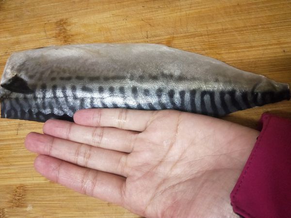 IMG20200209195528 IMG20200209195528