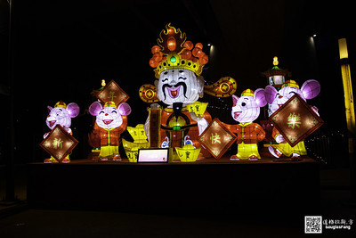 【遊記】2020新北燈會 (13)