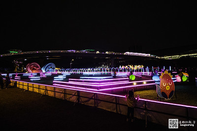 【遊記】2020新北燈會 (75)