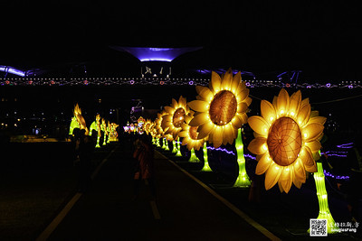 【遊記】2020新北燈會 (16)