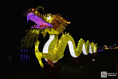 【遊記】2020新北燈會 (20)