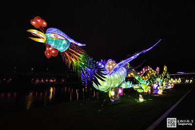 【遊記】2020新北燈會 (17)