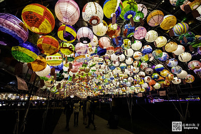 【遊記】2020新北燈會 (96)