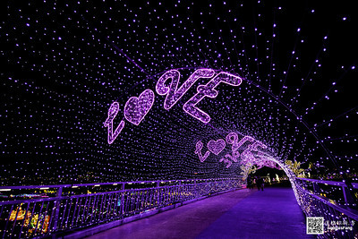 【遊記】2020新北燈會 (5)