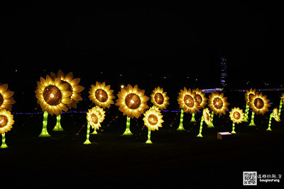 【遊記】2020新北燈會 (15)