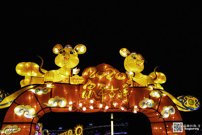 【遊記】2020新北燈會 (24)