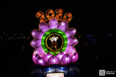 【遊記】2020新北燈會 (21)