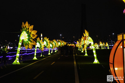 【遊記】2020新北燈會 (14)