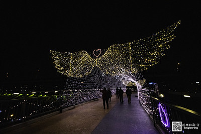 【遊記】2020新北燈會 (99)