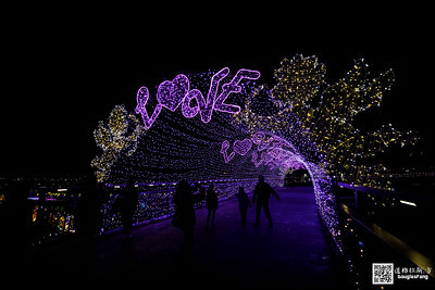 【遊記】2020新北燈會 (4)