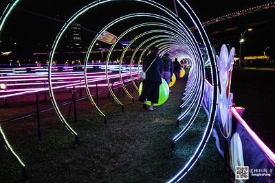 【遊記】2020新北燈會 (77)