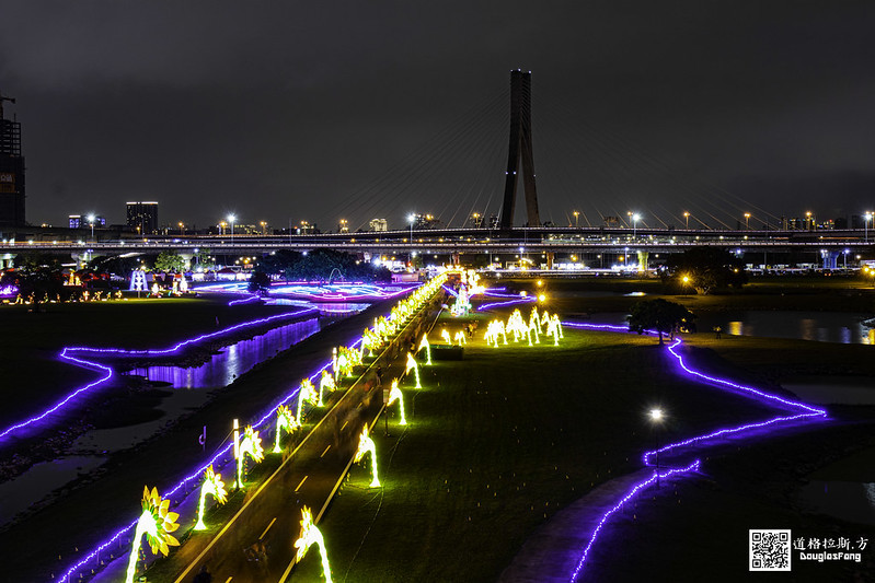 【遊記】2020新北燈會 (11)