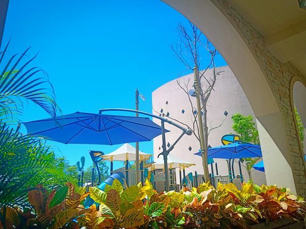 69130247_2721104797986320_7536664012356845568_n