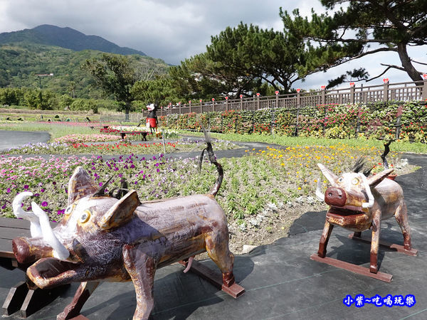 2020台東成功花海 (10).jpg