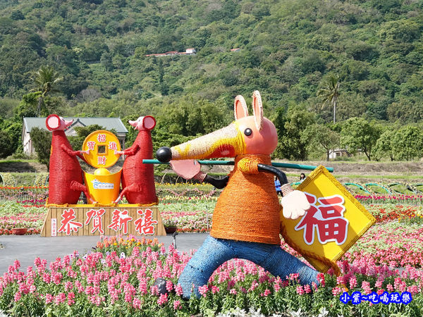 2020台東成功花海 (7).jpg