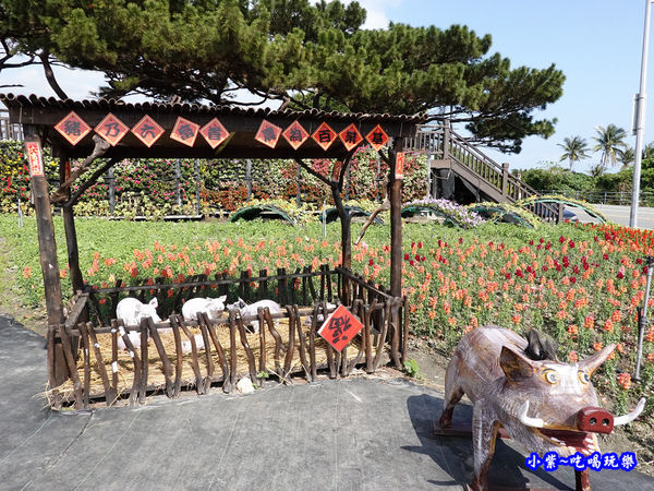 2020台東成功花海 (11).jpg