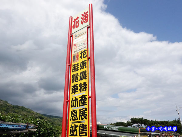 2020台東成功花海 (3).jpg