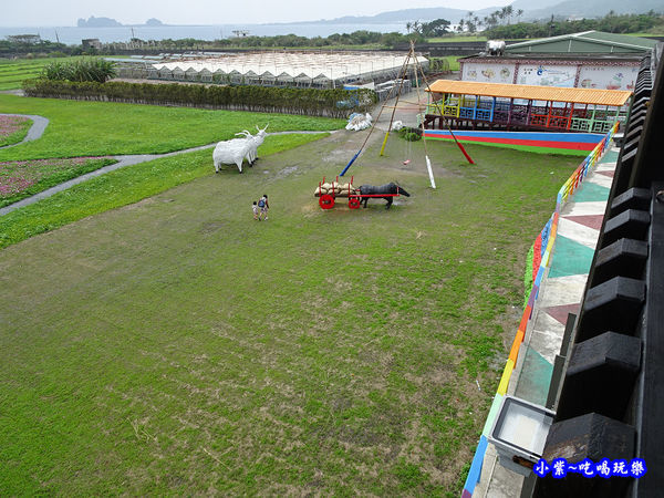 2017成功花海-觀景台 (5).jpg