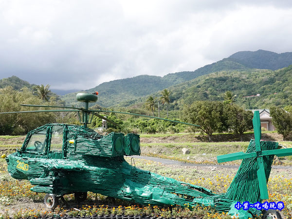 2020台東成功花海 (16).jpg