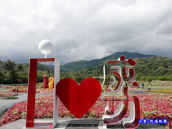 2020台東成功花海 (9).jpg