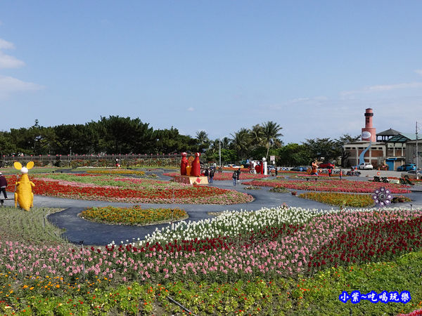 2020台東成功花海 (2).jpg