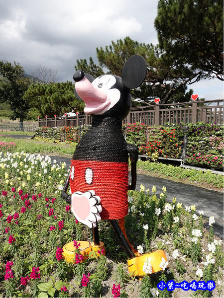 2020台東成功花海 (12).jpg