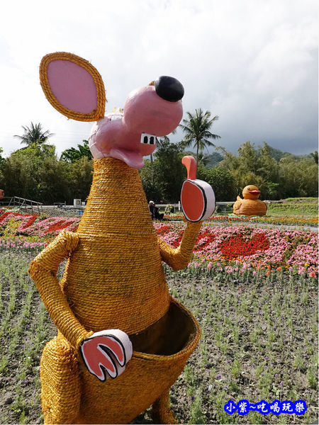2020台東成功花海 (15).jpg