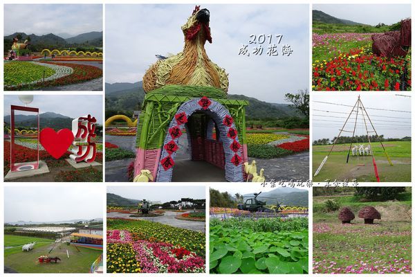 2017台東成功花海.jpg