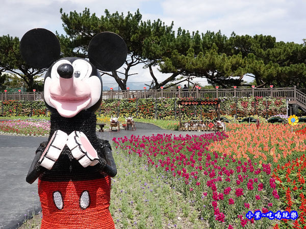 2020台東成功花海 (8).jpg