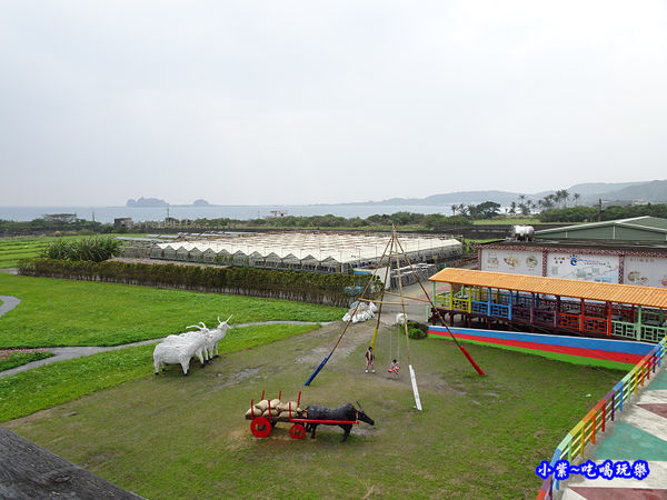 2017成功花海-觀景台 (1).jpg