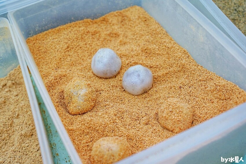 芳塢碼頭專業麻糬