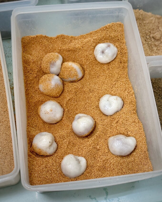 【芳塢碼頭專業麻糬】在地人推薦的麻糬口袋名單怎麼能錯過！傳統包餡麻糬顆顆飽滿且不黏牙，新上市的雲朵驢打滾療癒可愛又欠吃！台中伴手禮首選推薦！ - 阿華田的美食日記