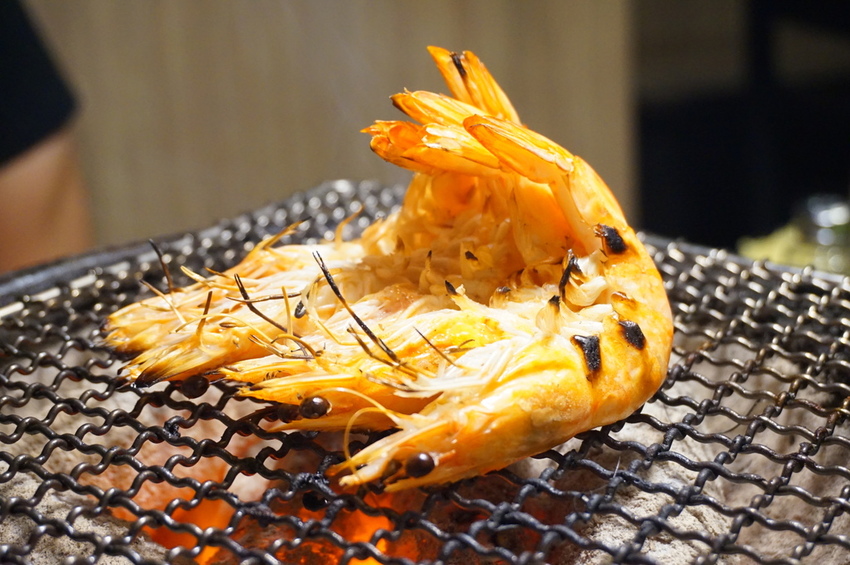 DSC06145.JPG DSC06145.JPG