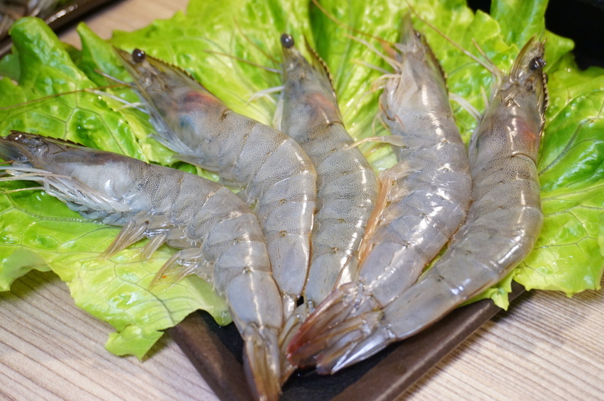 DSC06031.JPG DSC06031.JPG