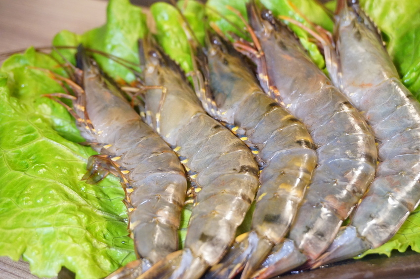 DSC06035.JPG DSC06035.JPG